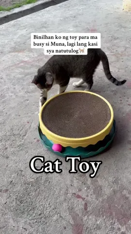 Busy na ang aking Muna sa pagpiplay😅🐈🐈‍⬛ #cattoys #catlover #petlover #catscratch 