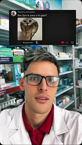 #sabecositaselhp #humor 