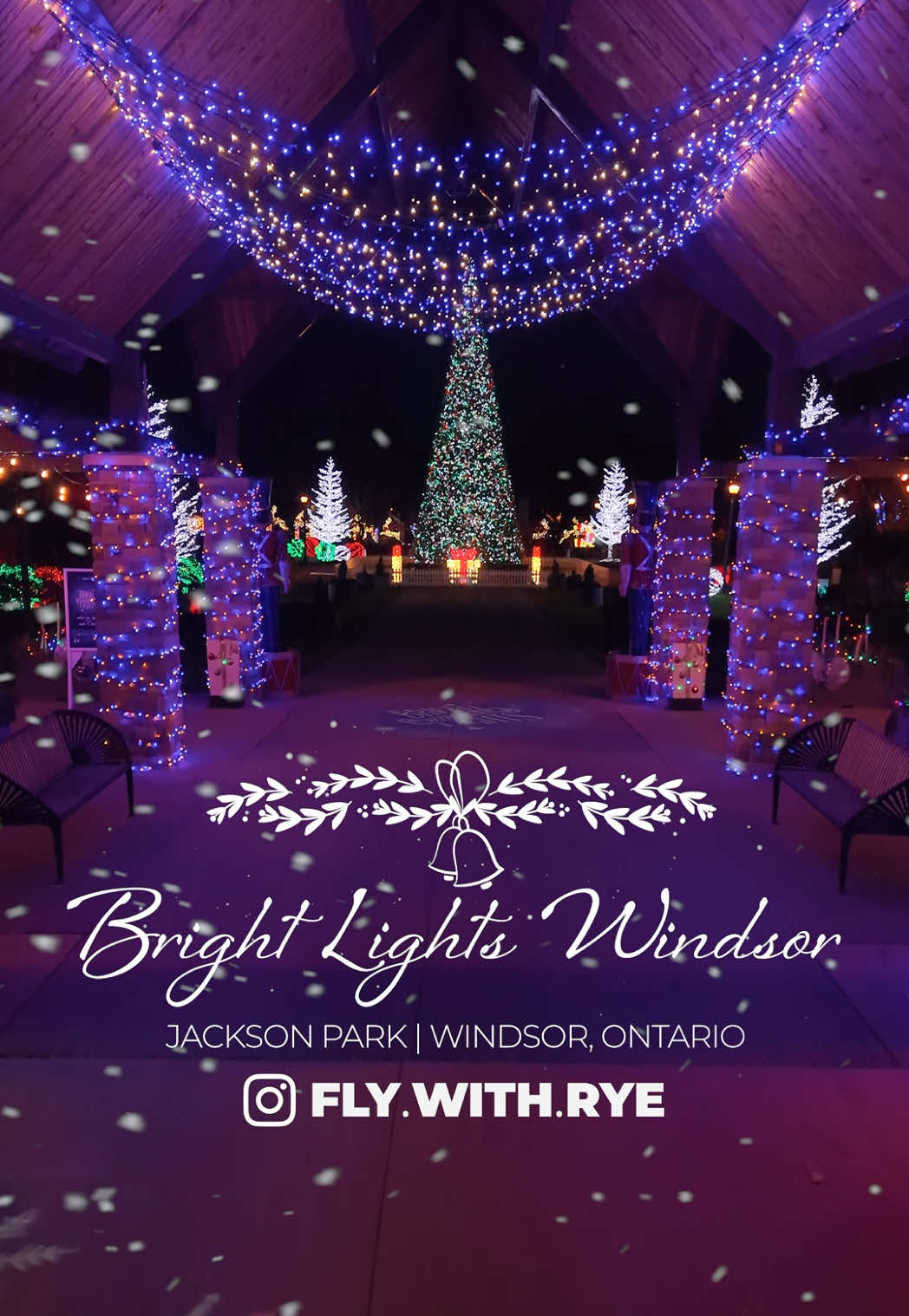 💫 Bright Lights Windsor is back! Filling Jackson Park with sparkling trails, magical displays and all-new photo spots for 2025. The lights shine nightly from 5:30 p.m – 10 p.m November 28 to January 7 — the perfect place to wander, snap festive photos and soak in the Christmas magic. ✨🎄 🎥 #FlyWithRye