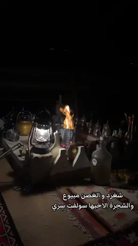 #بيت_شعر #اكسبلور #الشعب_الصيني_ماله_حل😂😂 #الكويت #رياض_احمد_عود_لحبيبك_عود 