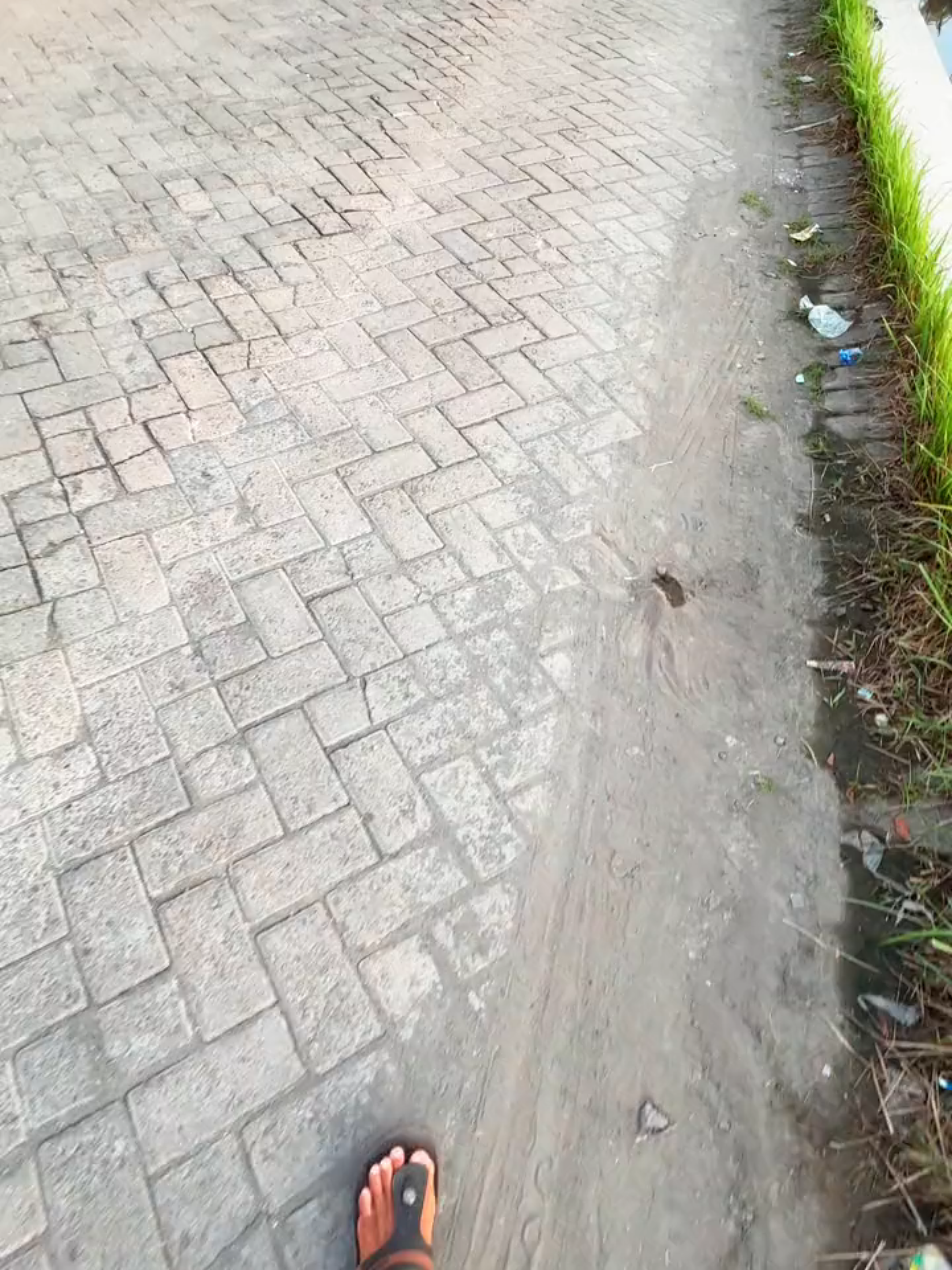 Walaupun boba 2 tetep harus disyukuri 😁😁 #mSim11 #microsoftedge #Ccpro #langit