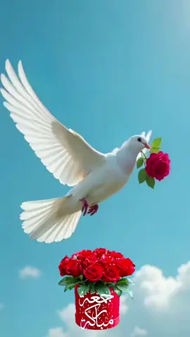 #اللهم_في_يوم_الجمعة #اللهم_انك_عفو_تحب_العفو_فاعف_عنا #صباحكم_معطر_بذكر_الله #جمعه_مباركه #دعاء_يوم_الجمعه 