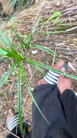 Chịu khó một tí 2 tiếng thôi là lên được trên đường rồi 😅