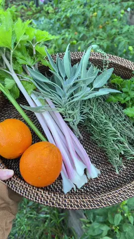 I hope everybody has a great day 🧡 