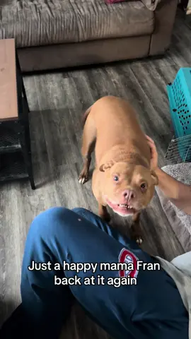 She was born to be a foster mama #mamafran #fostercare #fosteringsaveslives #fosterpuppies #puppiesoftiktok 