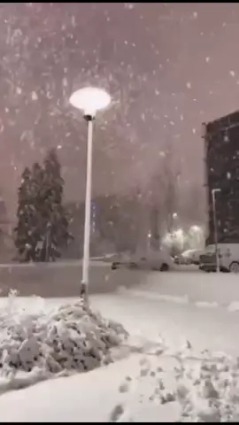 @لعبار الغيلانــِيـ..: البَرد اليوم امتين..؟وأمتَن من ذاك الريح/ مايگدرْ حد إيگوم..-وآيلين إيگوم إيطيح/ ماطارِ شي يرتَد'''في الدَشره بالتَصــريح/ يكون البرد البرد '''والريح الريح الريـــح/ الحال إيبان إشتَد'''والحال إيبان اشحيح/ والبَرد البرد البرد'''والريح الريح الريح….!