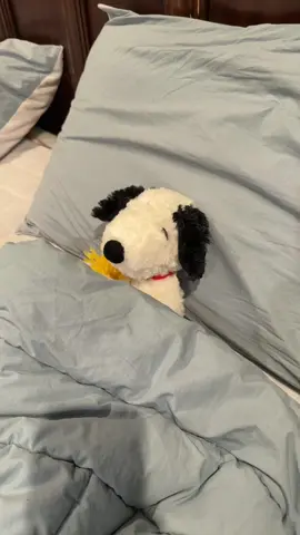 #snoopy listening to #danielcaesar 