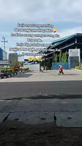 #rai 2 aman pokokke🤗🤣