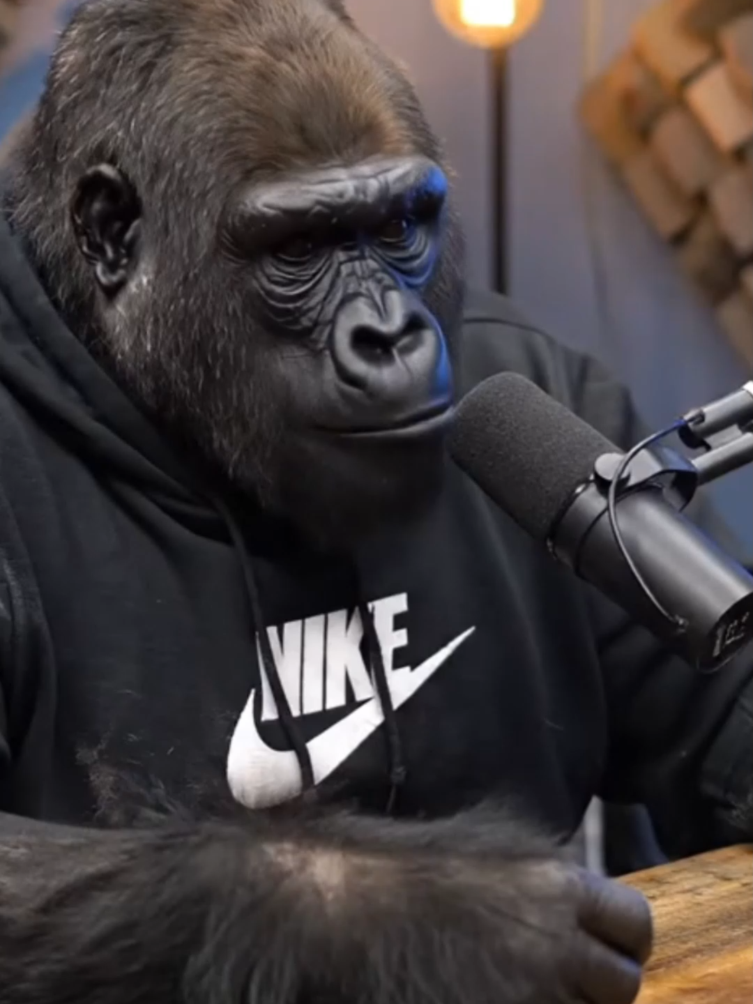 #humor #podcast #gorila #veo3 #inteligenciaartificial #ai #podcastclips