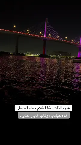 هدوء الذات غالبا هذه هي حياتي #CapCut #اكسبلور #اكسبلور #بدون_توقيع 