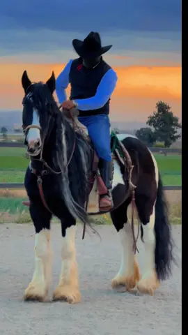 Cuadra N-T 🐎🇲🇽♥️