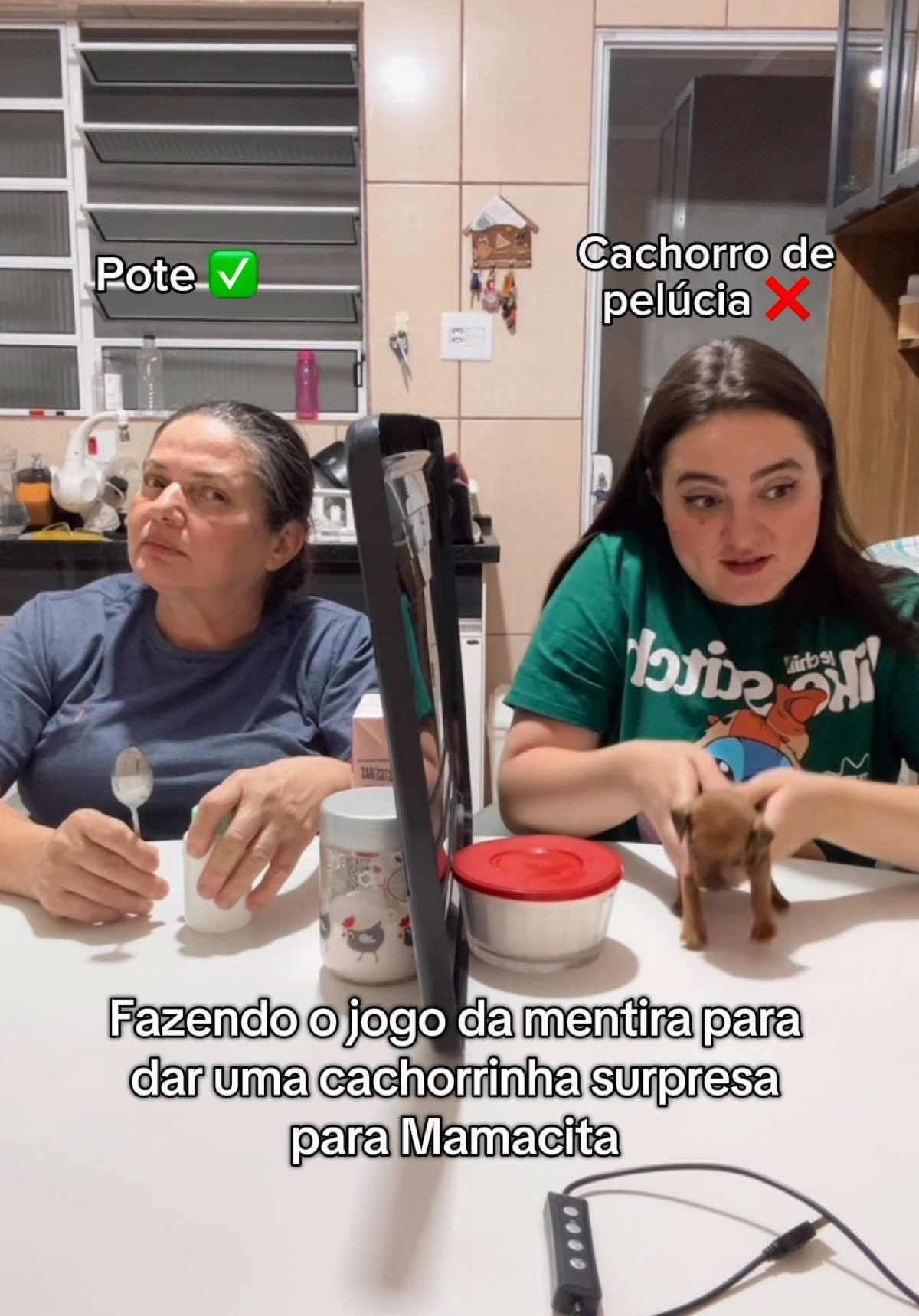 ela comigo: 😤🤬😠😡🙄 | ela com os animais: 😍🥹🥰💖✨ #trending #darkromance #fyp 