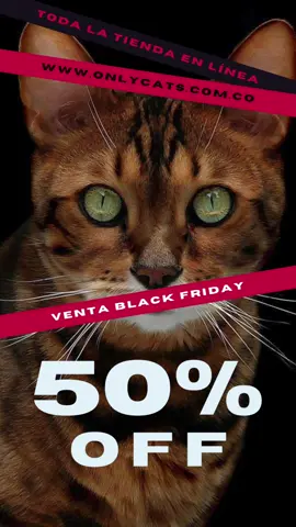 Llega BLACK FRIDAY a Only Cats tienda Especializada en Gatos  Descuentos hasta el 50% www.onlycats.com.co #gatos #bogota #medellin #colombia #paratiiiiiiiiiiiiiiiiiiiiiiiiiiiiiii 