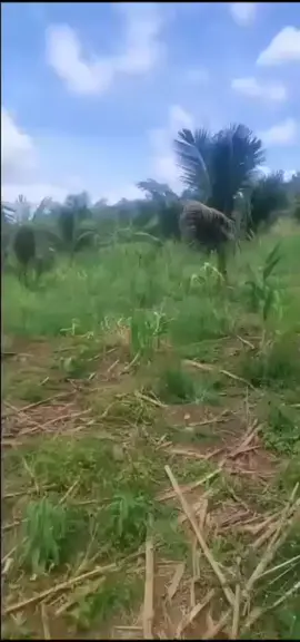 #fyppppppppppppppppppppppp #foryoupage 