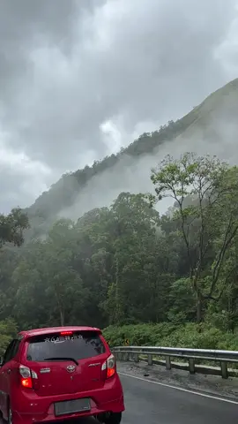 jalur yang sunyi dan kabut jadi teman seperjalanan #nadif #sembalun #lombok #fyppppppppppppppppppppppp 