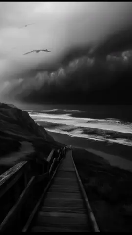 أعلم أن الناس سيتحدثون عنك في كل الاحوال  #اقتباسات  #اقتباسات_عبارات_خواطر  #حكم #كلام_من_القلب 