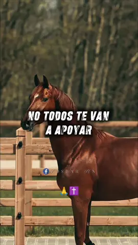 #No_Robes_Audios  “Frase: ‘No Todos Te Apoyan, Pero Dios Sí’. Frase original creada por mí, Josuar hn.” #frases_josuar_hn_oficial #frases_con_mi_voz_josuar_hn  #frase_original_de_josuar_hn 