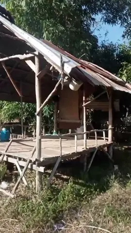 #tiktok shop creator ພູມໃຈ