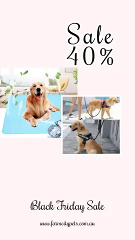 🎉 The wait is over! Our Black Friday Sale is LIVE and it's bigger than ever! 🚀 Get ready to snag your favourite pet essentials at a whopping 40% OFF your pet's favourites! 🐾 Whether it's cosy beds, stylish harnesses, or fun toys, we've got it all! 🛍️ Don't let this chance slip away—your furry friend deserves the best! 🐶🐱 Hurry, these deals won't last long! ⏰ Dive into the savings and make this Black Friday unforgettable! 🎈 - Ready to shop? Check out the link in our bio! #farmcitypets #aussiepets #farmcitypetsau #blackfridaysale