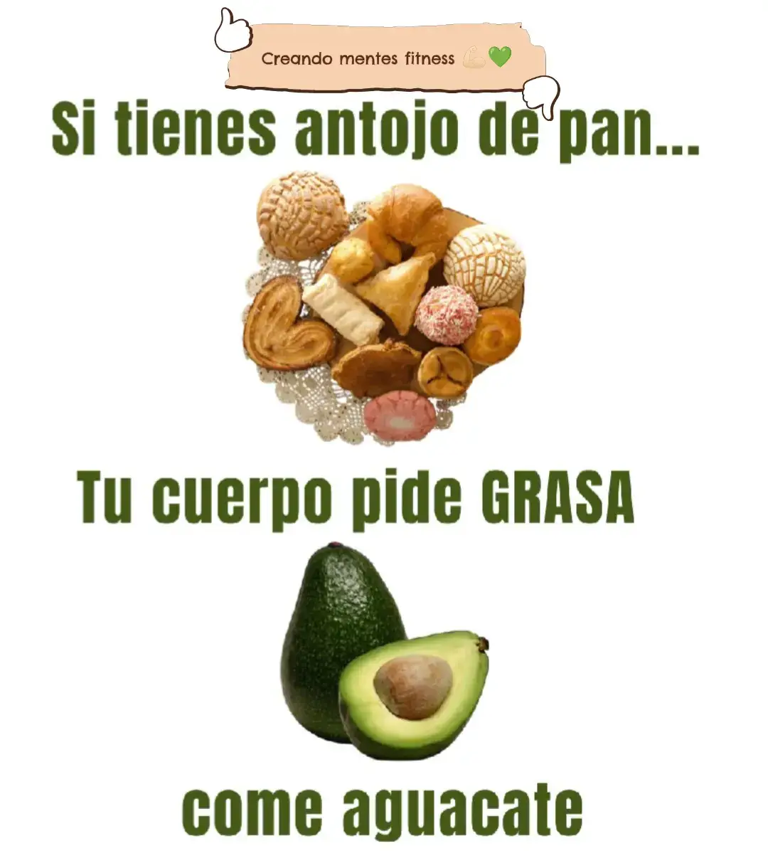 Creando mentes fitness 💪🏻💚