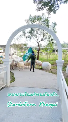 ทีมพวกเราพร้อมทำงานกันแล้วครับ #ขึ้นฟีดเถอะ #คาเฟ่ฟาร์มแกะเขาใหญ่ #stardoifarmkhaoyai 