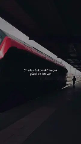 #sözler #siir #ilhamverensözler #edebiyat #charlesbukowski 