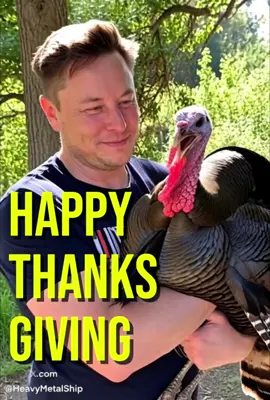 Elon and his turkey wish you a happy Thanksgiving 💕  This is Gobbles, who’s off the menu 🦃  Do you love turkeys?  #CapCut #thanksgiving #turkey  #Love #elonmusk 