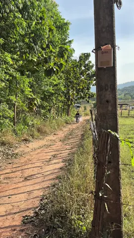 ผู้พันต้อม ไปหาปูพะนะ