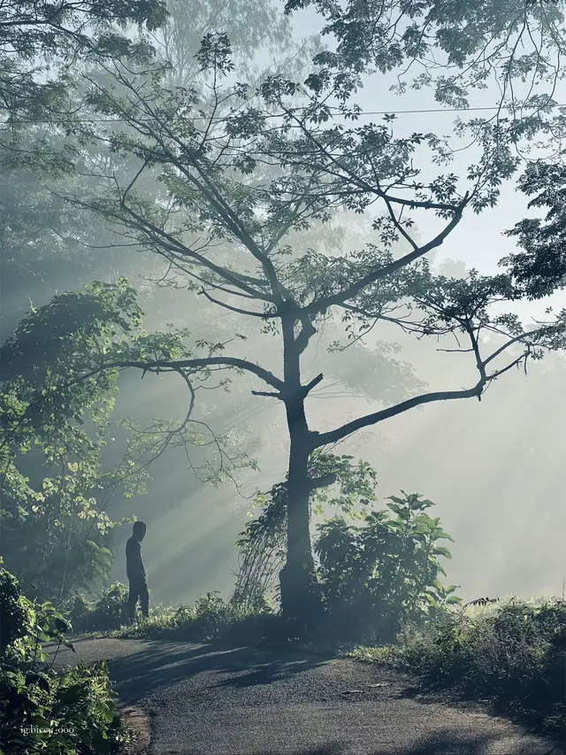 #fypage #viralvide #viralvideo #biccu🦋 #foryoupage 