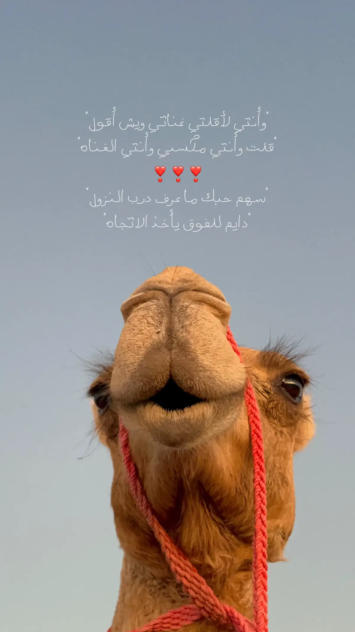 #ناجي-بن- ثاني #اكسبلورexplore #بوش #بدويه #ppppppppppppppppppppppp 