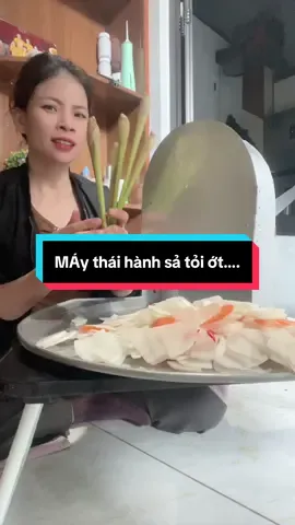 Máy thái hành sả tỏi ớt cho ce tiết kiệm súc lao động và thời gian è