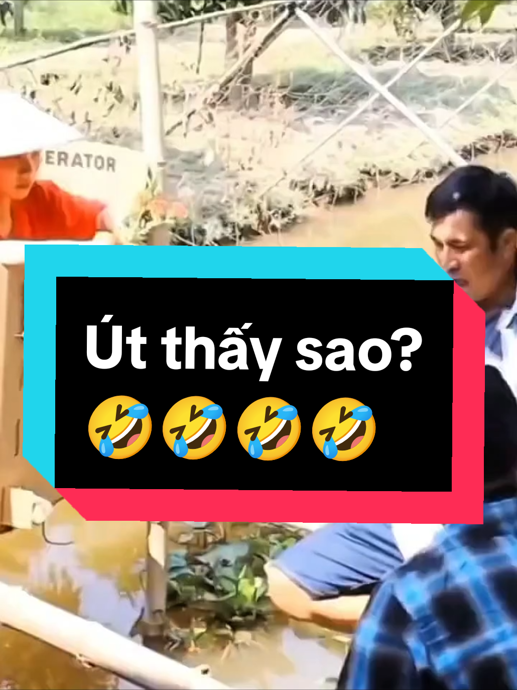 Màn tỏ tình t.h.ú.i hoắc😂😂😂#chipheodoan #haihuoc #giaitri #viral #tiktok @🇻🇳Doãn Chí Phèo🇻🇳 @🇻🇳Doãn Chí Phèo🇻🇳 @🇻🇳Doãn Chí Phèo🇻🇳 