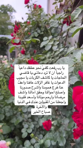 #اصبحنا_واصبح_الملك_لله_والحمد_لله_ #أذكار_الصباح_والمساء #صباح_الخير 