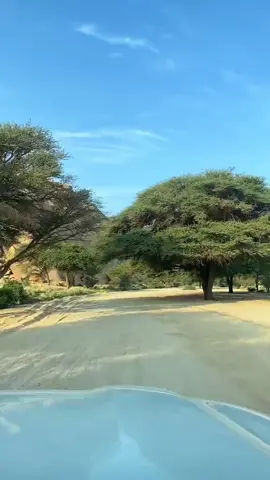 #في هذا اليوم 