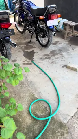 #fyppppppppppppppppppppppp 