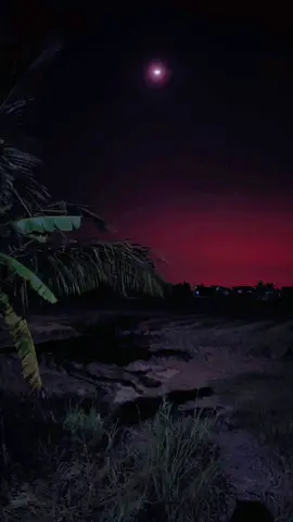 Cuộc sống vội vã , thời gian chẳng chờ đợi một ai , hãy sống sao cho bản thân thấy vui vẻ nhất , làm điều mình muốn , đi đến nơi muốn đi , gặp người cần gặp , ăn món mình thích … để mỗi ngày trôi qua , mỗi sớm mai thức dậy ta có thể mỉm cười nhìn đời mà sống …✍️ #cau5 #nhaccover #nhactamtrang #tamtrang #nhac_hay 