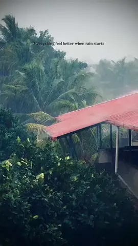 Rain with stormy winds is falling in Sri Lanka #rainsrilanka #rainyday #rainbgmtamil  #weathersrilanka #tamilsongrain  rain climate Sri Lanka  stormy Sri lanka 