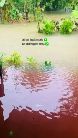 ගග අපිව බලන්න එනවා 😂  #rathnapura_srilanka #ganvathra #kalugaga #Athome #onmillionaudition #goviral @Mathee | මතී | மதீ @Thimi Ra @Binudith Vikash  @NiMA_Boy 🫨📌️❤️‍🩹 @Dinu____🌸 