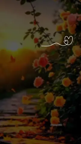 El devocional de hoy  Vier-28-Nov-2025  Lucas 11:13  dice que si los padres humanos, que son imperfectos, saben dar buenas cosas a sus hijos, mucho más el Padre celestial dará el Espíritu Santo a quienes se lo pidan. Este versículo enfatiza la generosidad de Dios y la importancia de la oración, comparando la relación entre padres e hijos con la relación que tenemos con Dios.  Padres imperfectos y el  Padre celestial:  La frase comienza comparando a los padres terrenales (