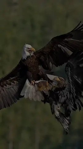 #quotes #foryou #foryoupage #laguviral #CapCut 