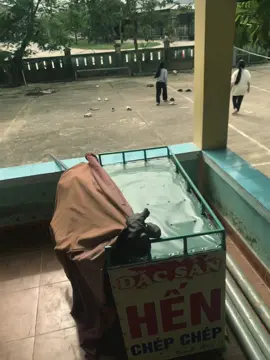 #trucsquyeenn_0 #fypシ #xhtiktok #fbtxuhuong #chiyeuminhanh @nhi. 