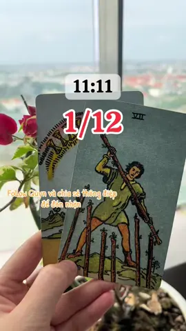 #quyntarot #thongdiepvutru #tarotreader 