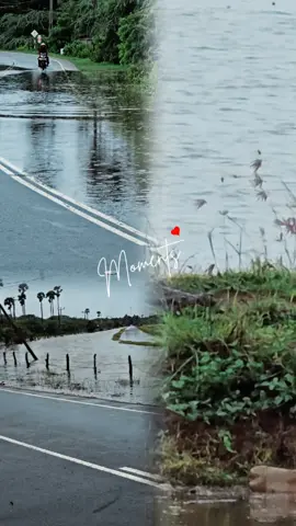 #creatorsearchinsights #TikTokTrend #ViralVideo #1MViews 