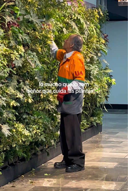 🪴  #fyp #paratiii #plantas #cdmx #metro