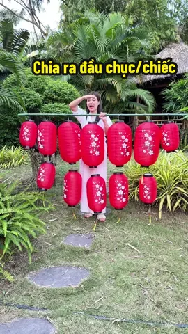 Chia ra là đầu chục k/ chiếc. Các bác mua theo combo cho rẻ nha#denlongvai #denlonghoaanhdao #denlong 