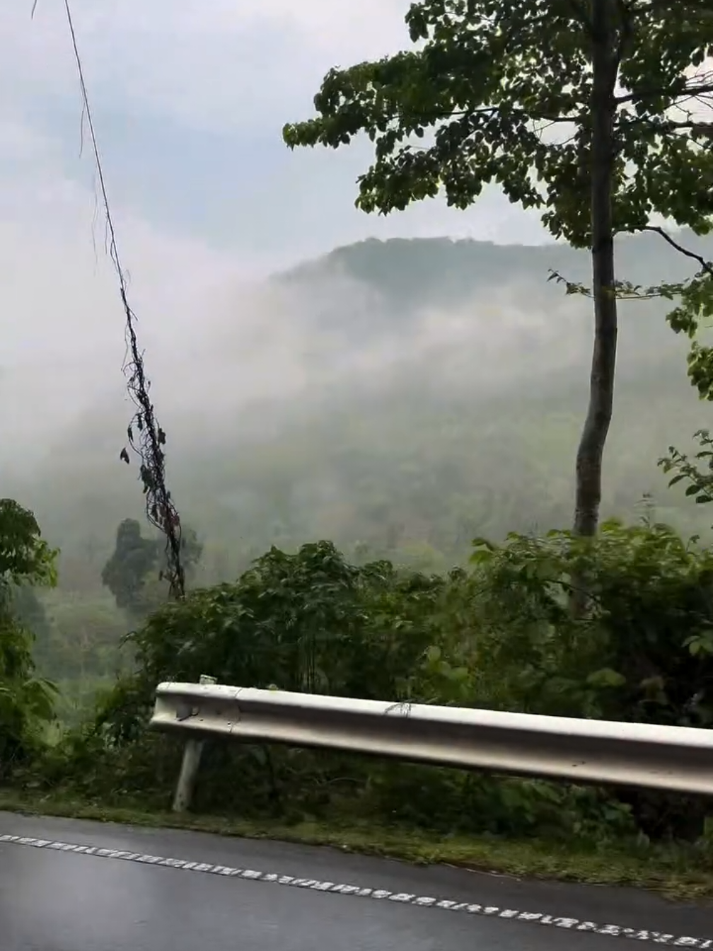 #fyp #fypシ #fypage 