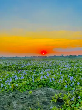 একজনকে খুব ভালোবাসতাম ❤️‍🩹😊#foryou #foryoupage #vairal #unfrezzmyaccount #foryoupageofficiall 