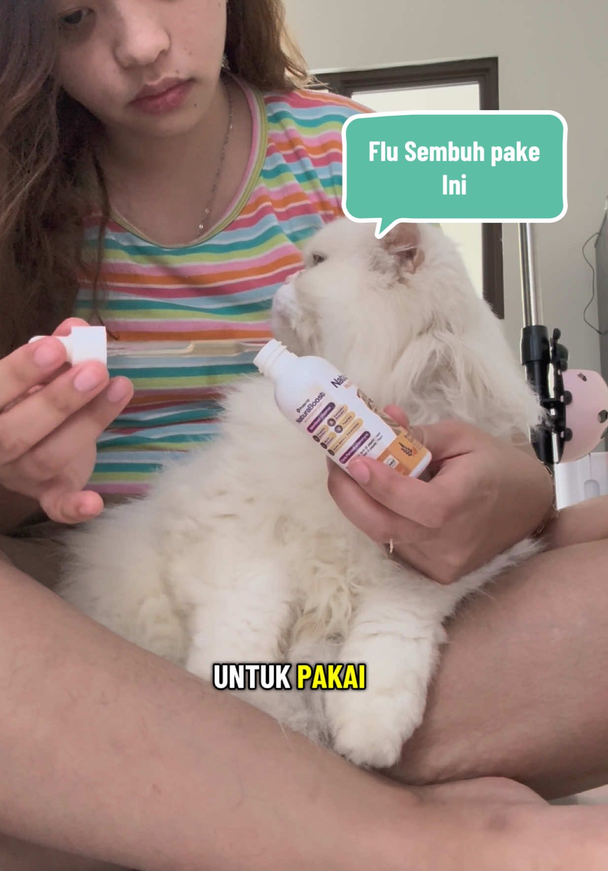 Lumayan kemaren beli naturaboost ada gratis odoor shieldnya 🤭 . . #naturaboost #vitaminkucing #obatflukucing #protema #viral @maggproindonesia 