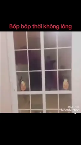 Phim ngắn của bốp #xh #bopbop #bopdautrung🥚 #bopboplienquan 