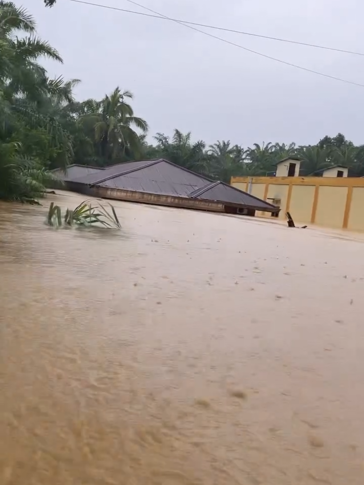 BANJIR HARI INI DI LANGKAT SUMATERA UTARA #sumut #banjir #sibolga #langkat #pray 
